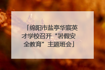绵阳市盐亭华宸英才学校召开“暑假安全教育”主题班会