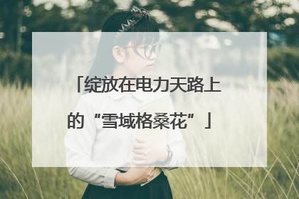绽放在电力天路上的“雪域格桑花”