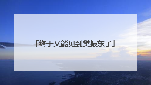 终于又能见到樊振东了