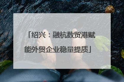绍兴：融杭数贸港赋能外贸企业稳量提质