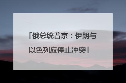 俄总统普京：伊朗与以色列应停止冲突