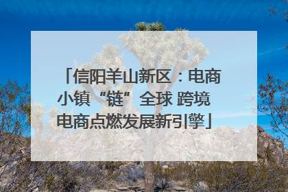 信阳羊山新区：电商小镇“链”全球 跨境电商点燃发展新引擎
