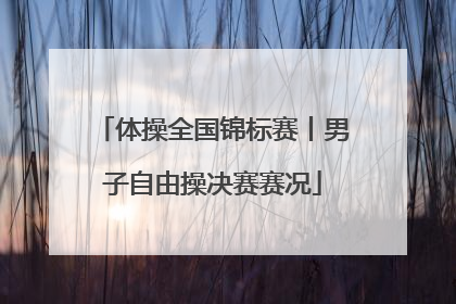 体操全国锦标赛丨男子自由操决赛赛况