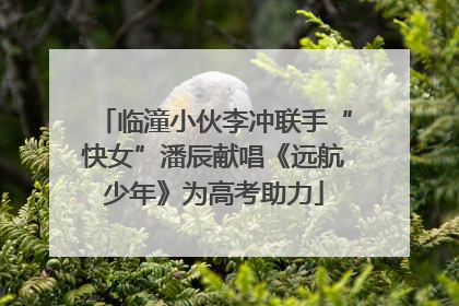 临潼小伙李冲联手“快女”潘辰献唱《远航少年》为高考助力