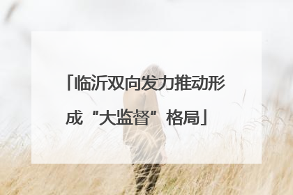 临沂双向发力推动形成“大监督”格局
