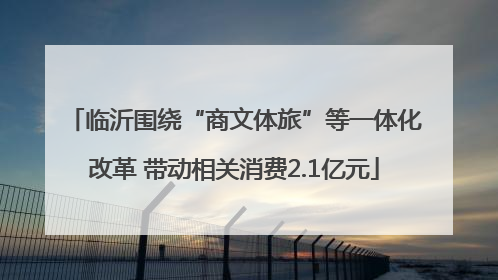 临沂围绕“商文体旅”等一体化改革 带动相关消费2.1亿元
