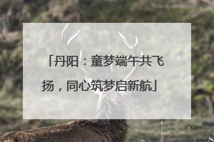 丹阳：童梦端午共飞扬，同心筑梦启新航