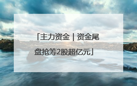 主力资金｜资金尾盘抢筹2股超亿元