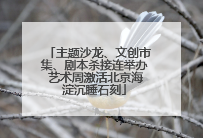 主题沙龙、文创市集、剧本杀接连举办 艺术周激活北京海淀沉睡石刻