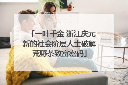 一叶千金 浙江庆元新的社会阶层人士破解荒野茶致富密码