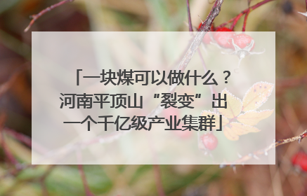 一块煤可以做什么？河南平顶山“裂变”出一个千亿级产业集群