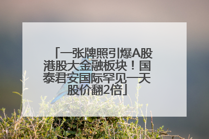 一张牌照引爆A股港股大金融板块！国泰君安国际罕见一天股价翻2倍