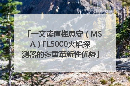一文读懂梅思安（MSA）FL5000火焰探测器的多重革新性优势