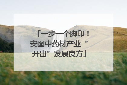 一步一个脚印！安图中药材产业“开出”发展良方