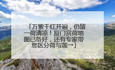 万紫千红开遍，仍留一荷清凉！厦门赏荷地图已备好，还有专家带您区分荷与莲→