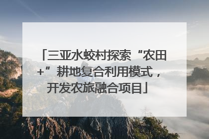 三亚水蛟村探索“农田+”耕地复合利用模式，开发农旅融合项目