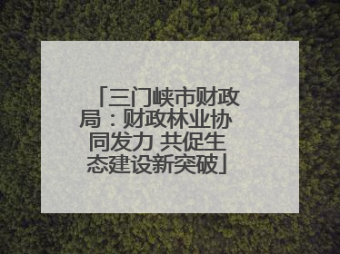 三门峡市财政局：财政林业协同发力 共促生态建设新突破