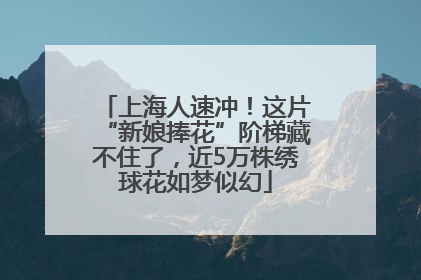 上海人速冲！这片“新娘捧花”阶梯藏不住了，近5万株绣球花如梦似幻