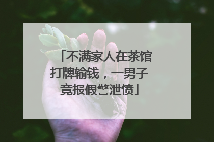 不满家人在茶馆打牌输钱，一男子竟报假警泄愤