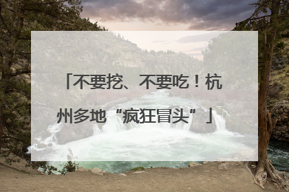不要挖、不要吃！杭州多地“疯狂冒头”