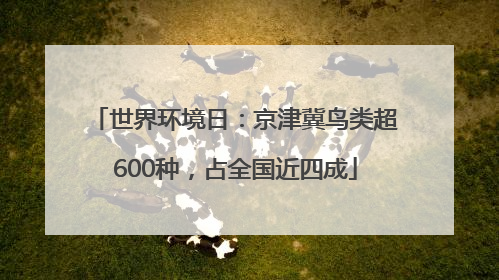 世界环境日：京津冀鸟类超600种，占全国近四成