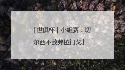 世俱杯｜小组赛：切尔西不敌弗拉门戈