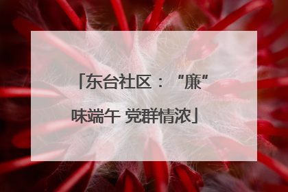 东台社区：“廉”味端午 党群情浓