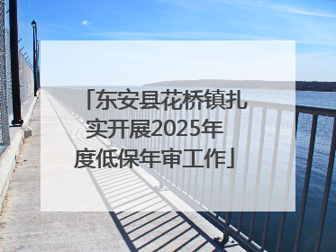 东安县花桥镇扎实开展2025年度低保年审工作