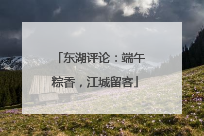 东湖评论：端午粽香，江城留客