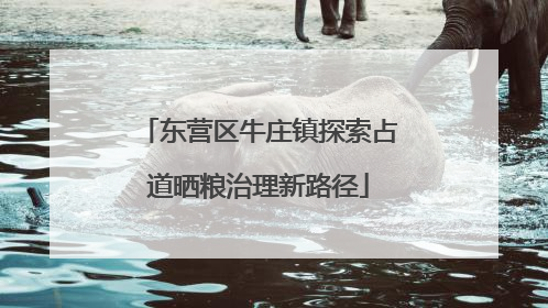 东营区牛庄镇探索占道晒粮治理新路径