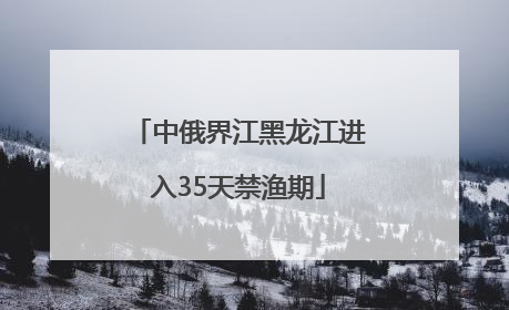 中俄界江黑龙江进入35天禁渔期