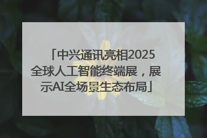 中兴通讯亮相2025全球人工智能终端展，展示AI全场景生态布局