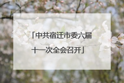 中共宿迁市委六届十一次全会召开