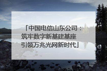 中国电信山东公司：筑牢数字新基建基座 引领万兆光网新时代
