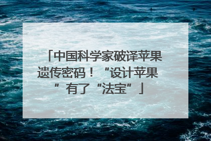 中国科学家破译苹果遗传密码！“设计苹果”有了“法宝”