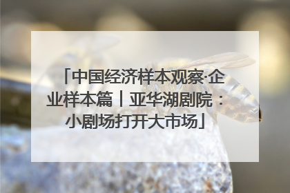 中国经济样本观察·企业样本篇︱亚华湖剧院：小剧场打开大市场