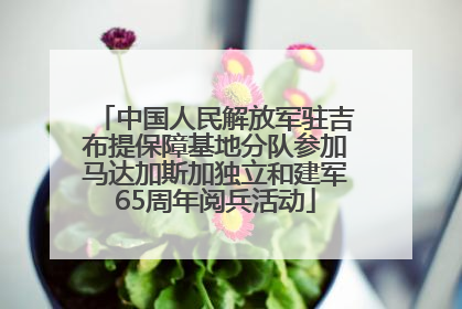 中国人民解放军驻吉布提保障基地分队参加马达加斯加独立和建军65周年阅兵活动