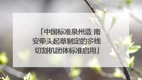 中国标准泉州造 南安牵头起草制定的多线切割机团体标准启用