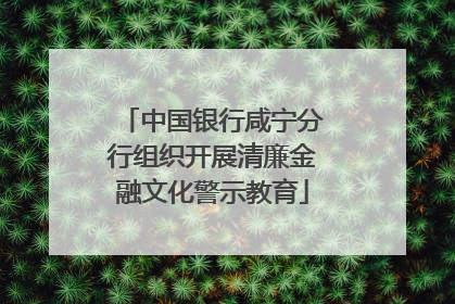 中国银行咸宁分行组织开展清廉金融文化警示教育