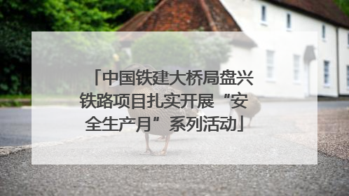 中国铁建大桥局盘兴铁路项目扎实开展“安全生产月”系列活动