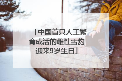 中国首只人工繁育成活的雌性雪豹迎来9岁生日