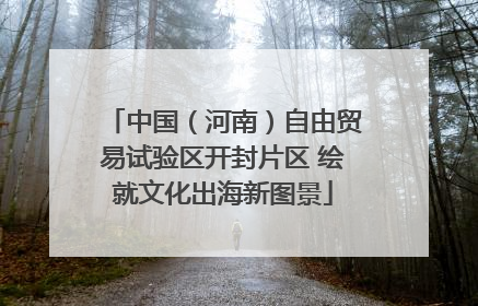 中国（河南）自由贸易试验区开封片区 绘就文化出海新图景