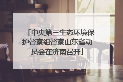 中央第三生态环境保护督察组督察山东省动员会在济南召开