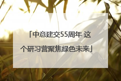 中意建交55周年 这个研习营聚焦绿色未来