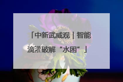 中新武威观｜智能滴灌破解“水困”