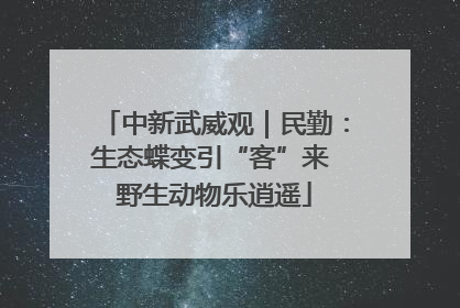 中新武威观｜民勤：生态蝶变引“客”来 野生动物乐逍遥