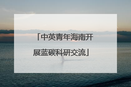 中英青年海南开展蓝碳科研交流