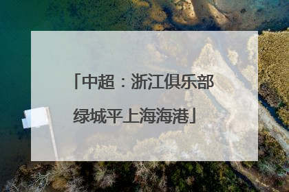 中超：浙江俱乐部绿城平上海海港