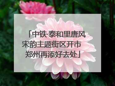 中铁·泰和里唐风宋韵主题街区开市 郑州再添好去处