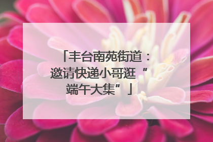 丰台南苑街道：邀请快递小哥逛“端午大集”
